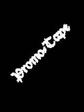 Inoffizielles Promo Tape